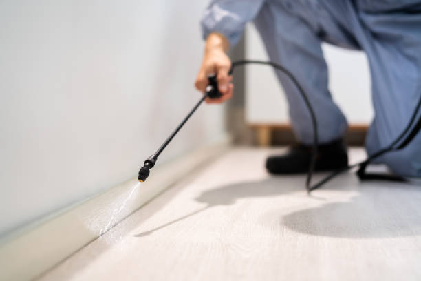 Bed Bug Pre-Treatment Preparation Assessment in Moody AFB