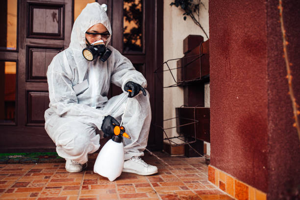 Multi-Unit and Airbnb Bed Bug Protocol in Moody AFB