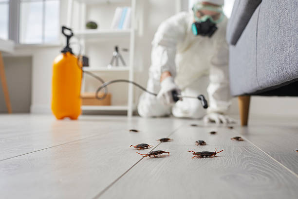 Post-Treatment Bed Bug Interceptor Monitoring in Moody AFB