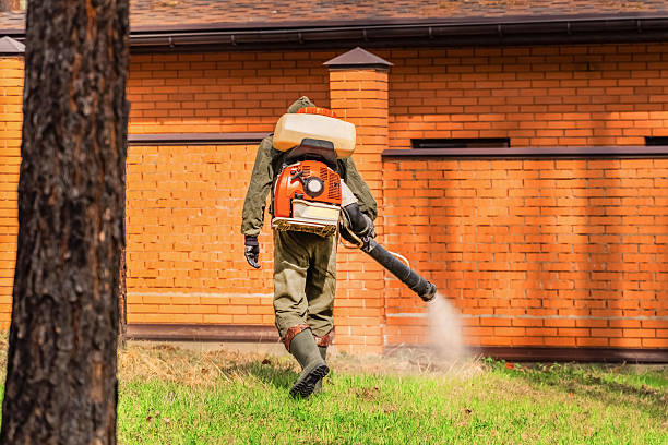 Bed Bug Clearance Verification and Documentation in Moody AFB